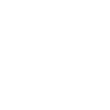 ico-check