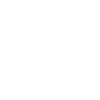 ico-money
